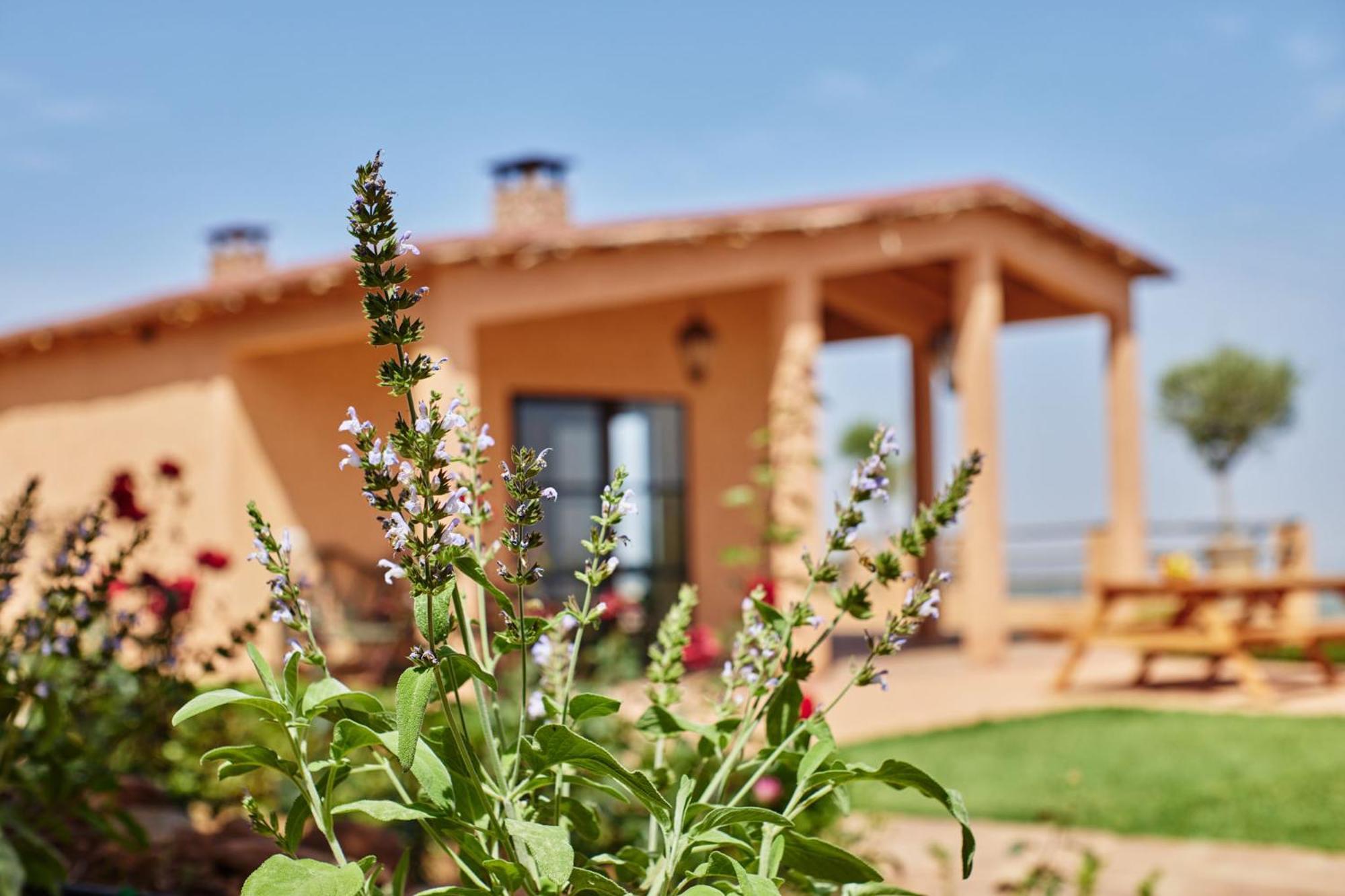Bed and Breakfast Dar Imiri Ourika Esterno foto